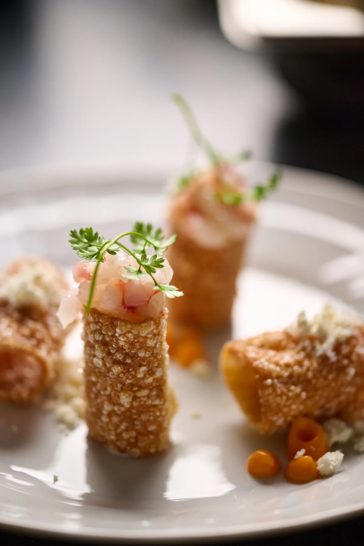 Bocados crujientes rellenos y presentados en un plato en Villa Marie