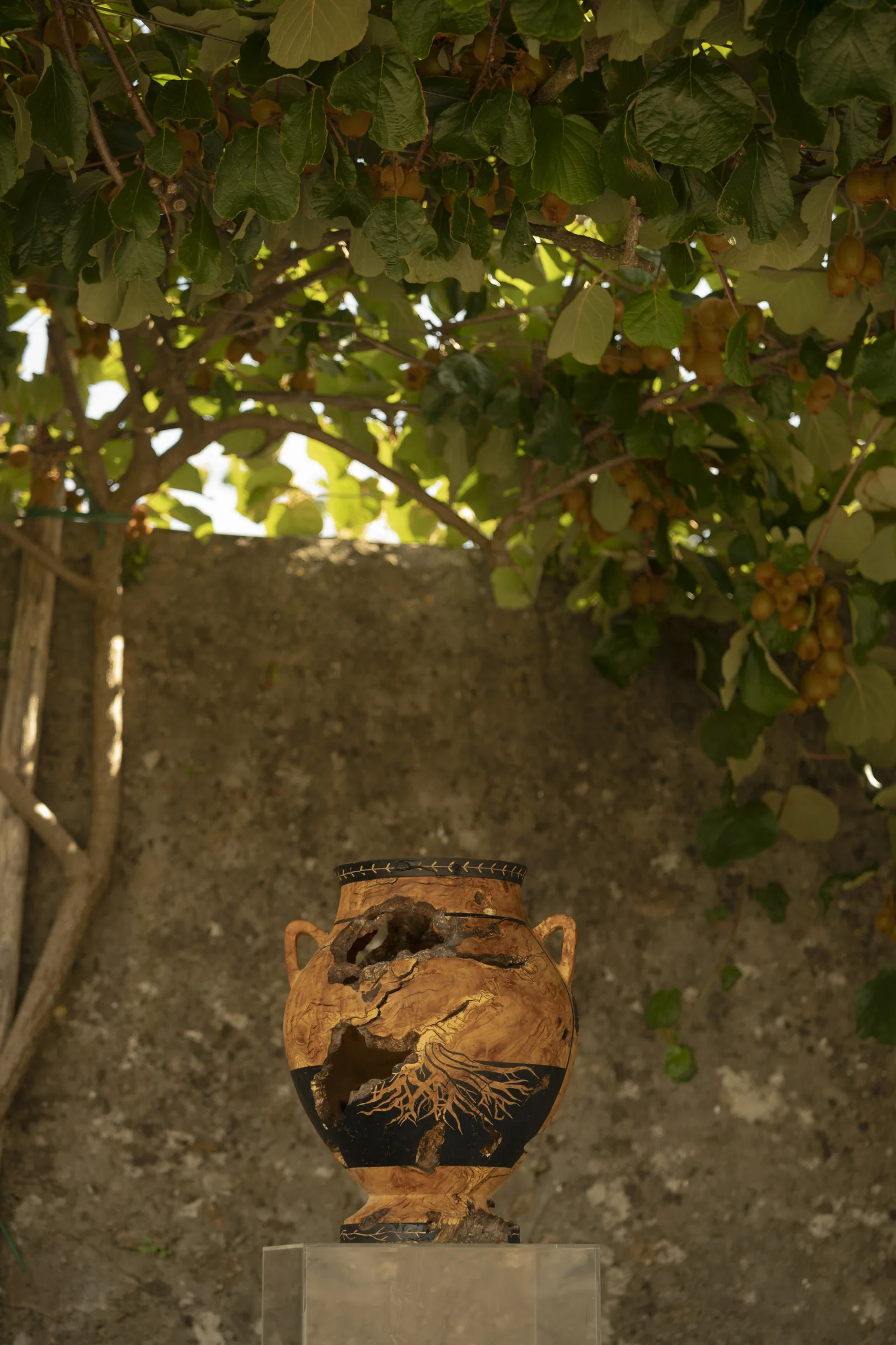 Amphore décorative sous la pergola de kiwis à Villa Marie
