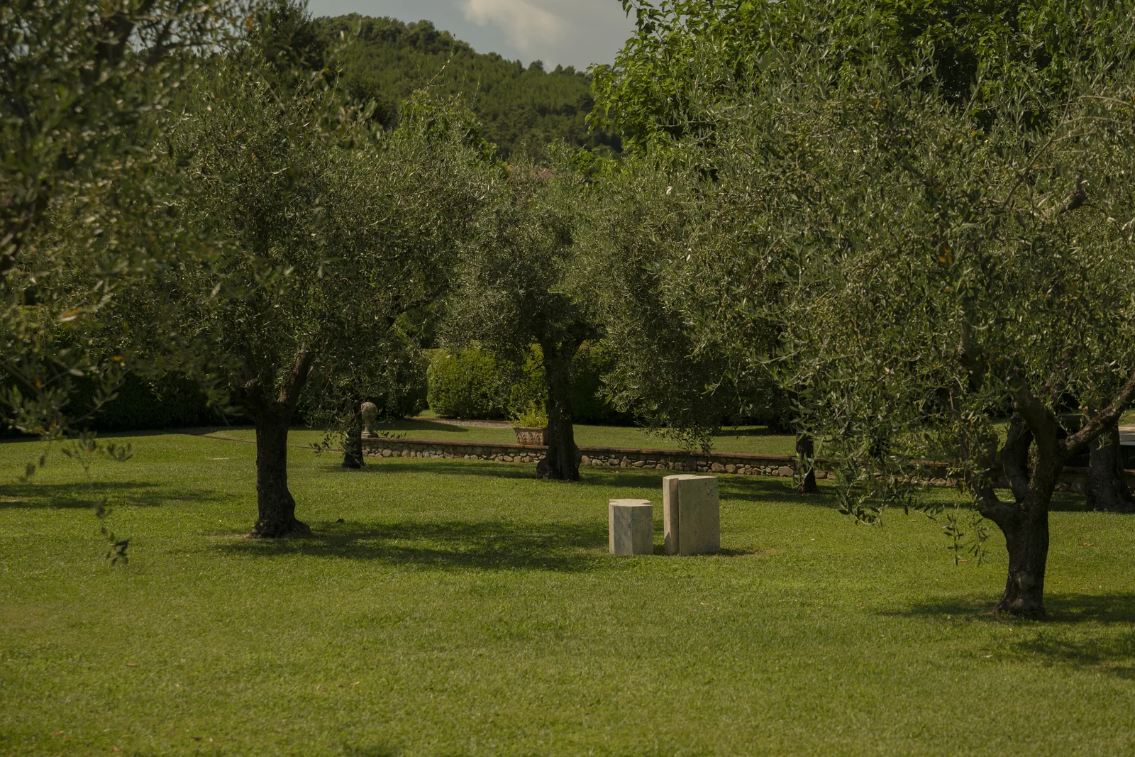 Oliveraie et œuvres contemporaines en pierre à Villa Marie