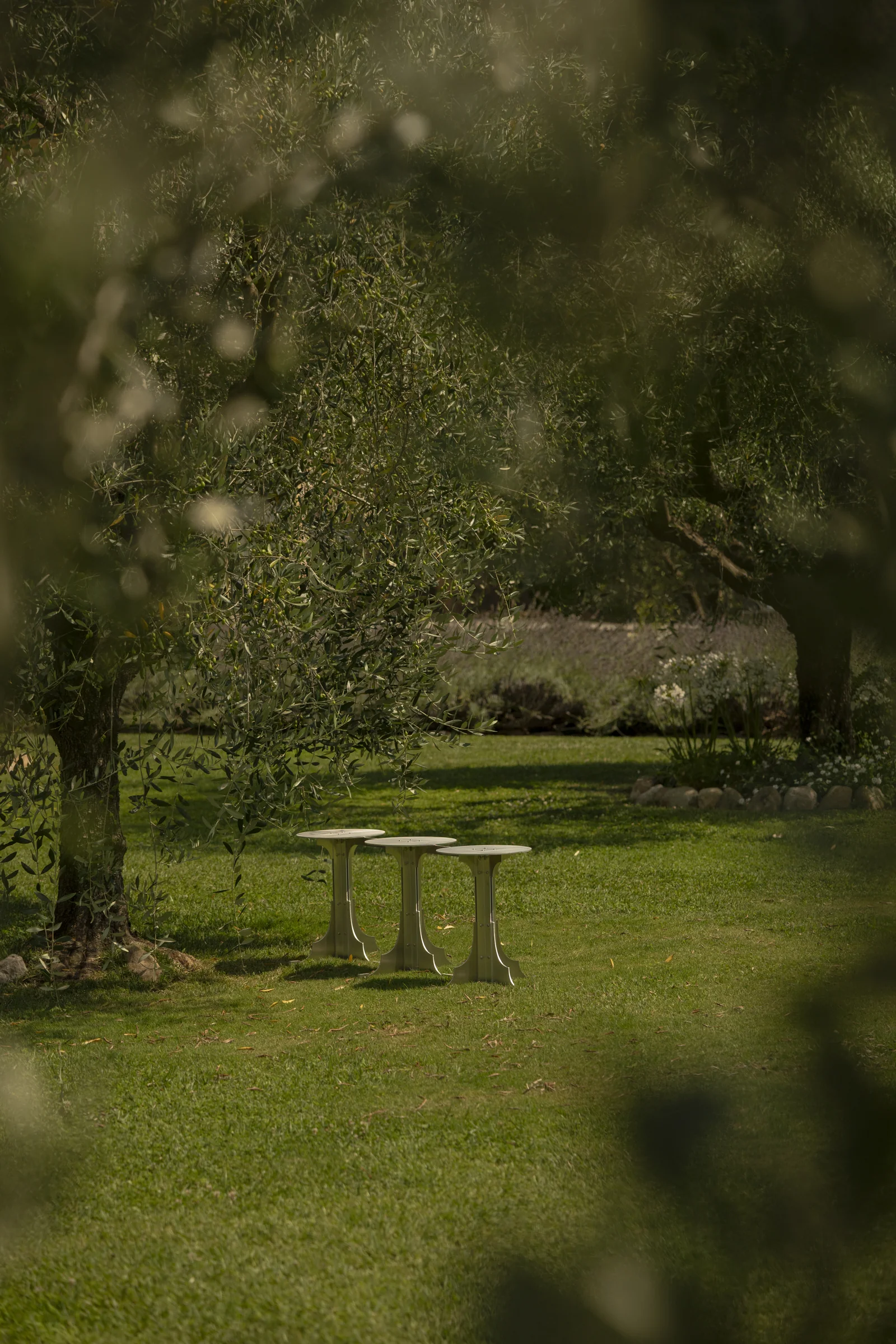 Sièges sculpturaux sous les oliviers du jardin de Villa Marie