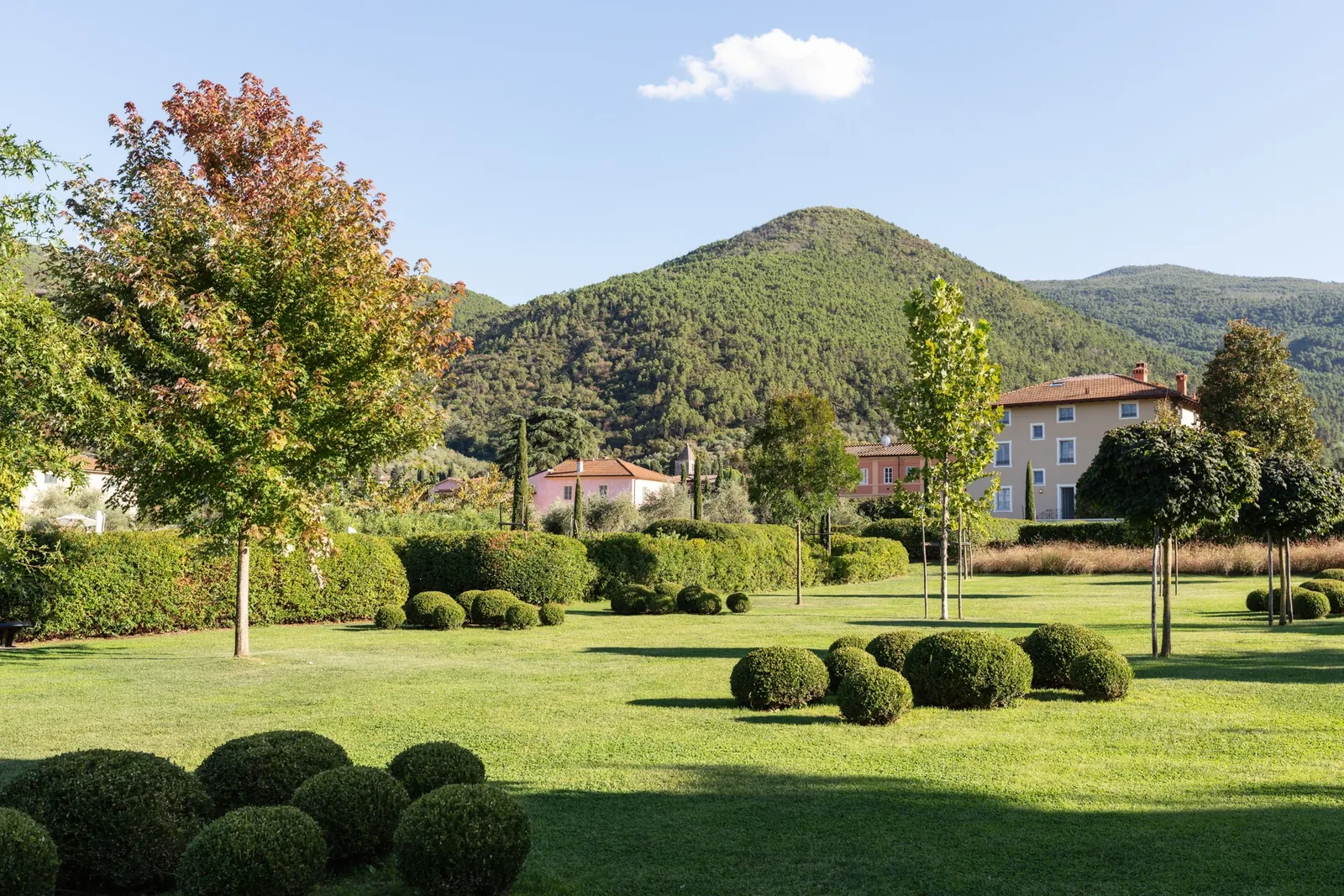 Prato e arbusti potati a sfera davanti alla villa e alle colline