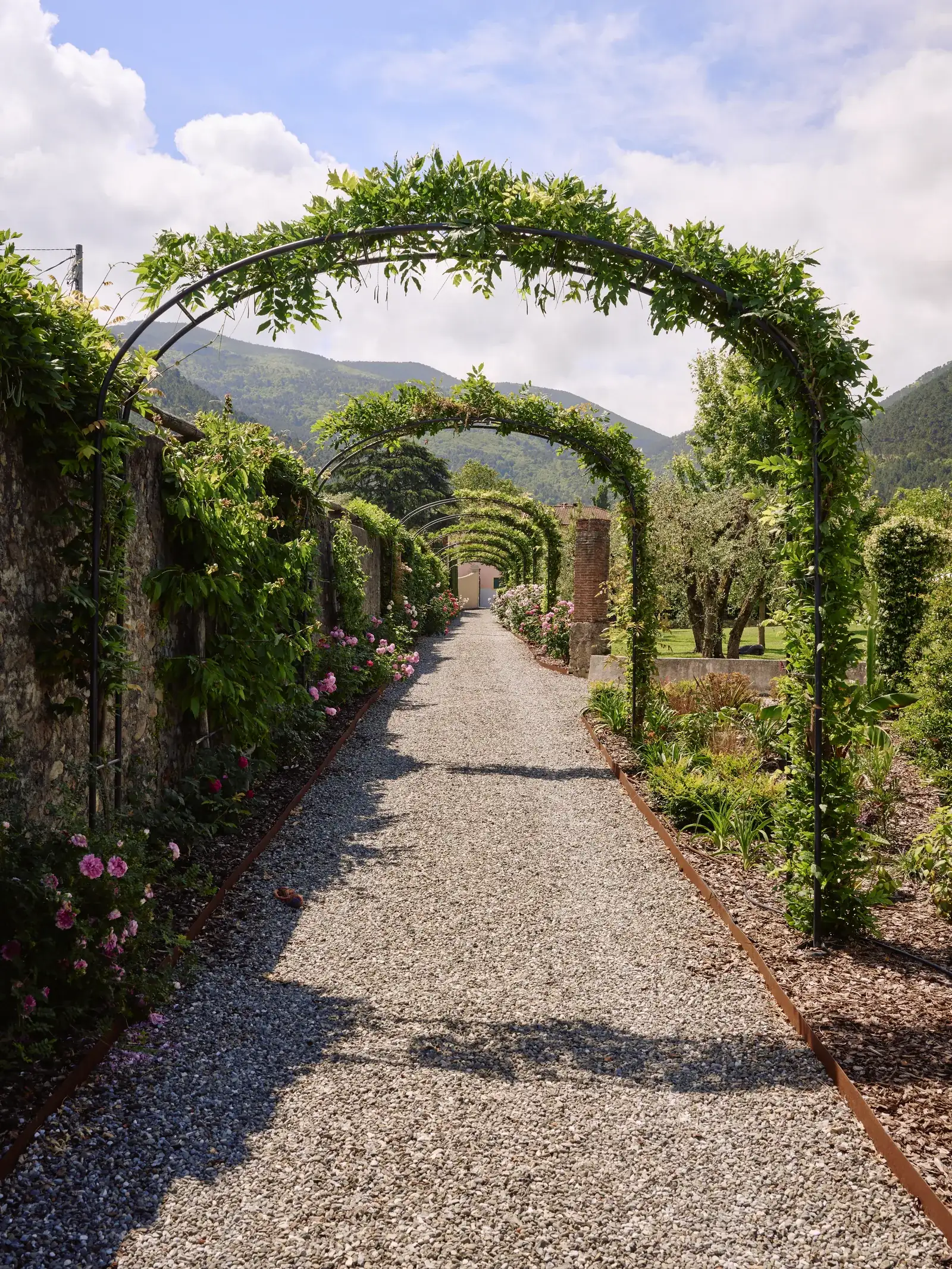 Viale sotto una pergola ricoperta di rose nei giardini di Villa Marie