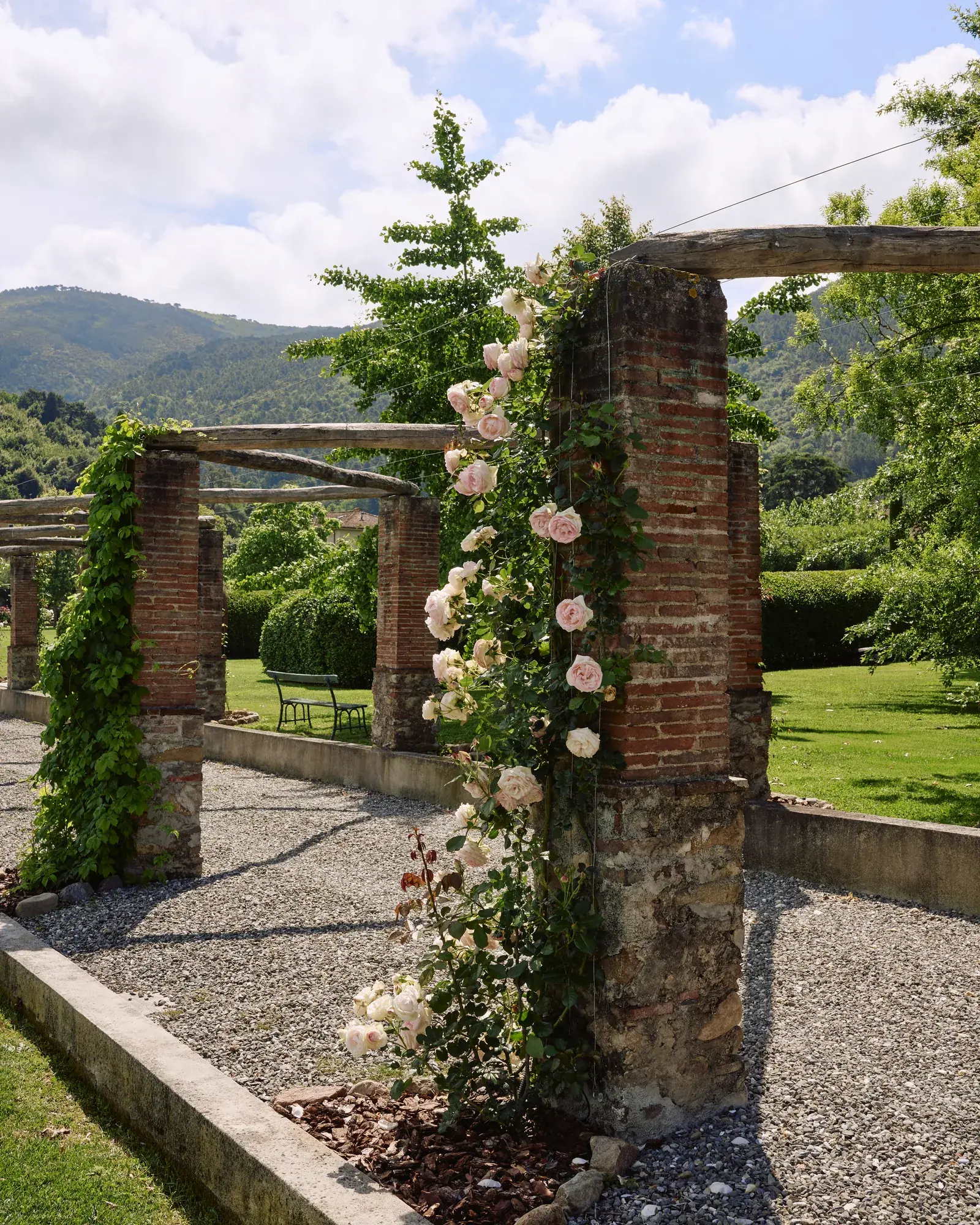 Climbing roses on a brick pergola in the Villa Marie gardens